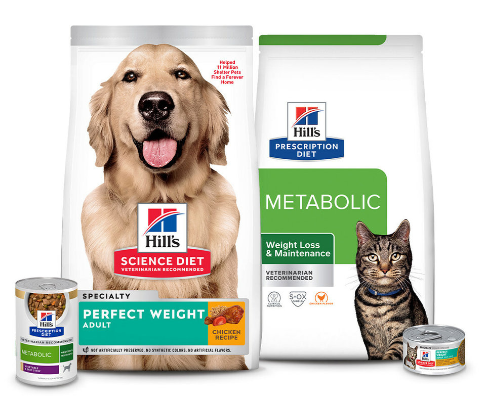 Hill s Pet Nutrition on embracing tech Just Food Issue 55 March 2024